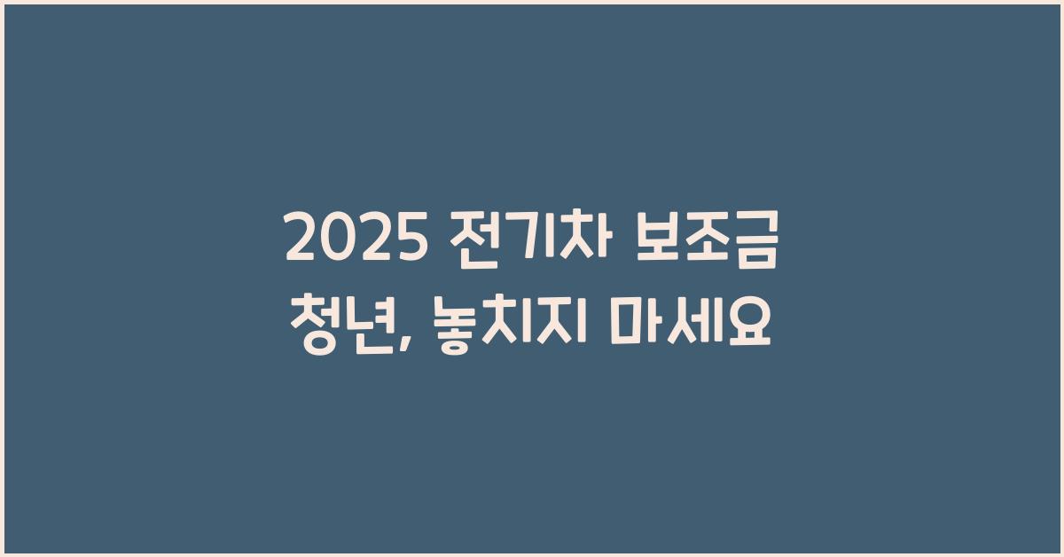 2025 전기차 보조금 청년
