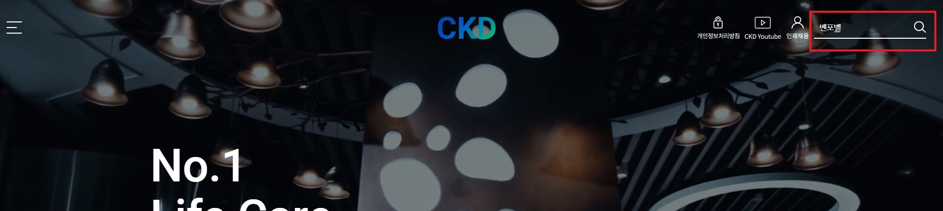 벤포벨 제품 검색 결과. 벤포벨B, G, S정이 나열되어 있습니다.