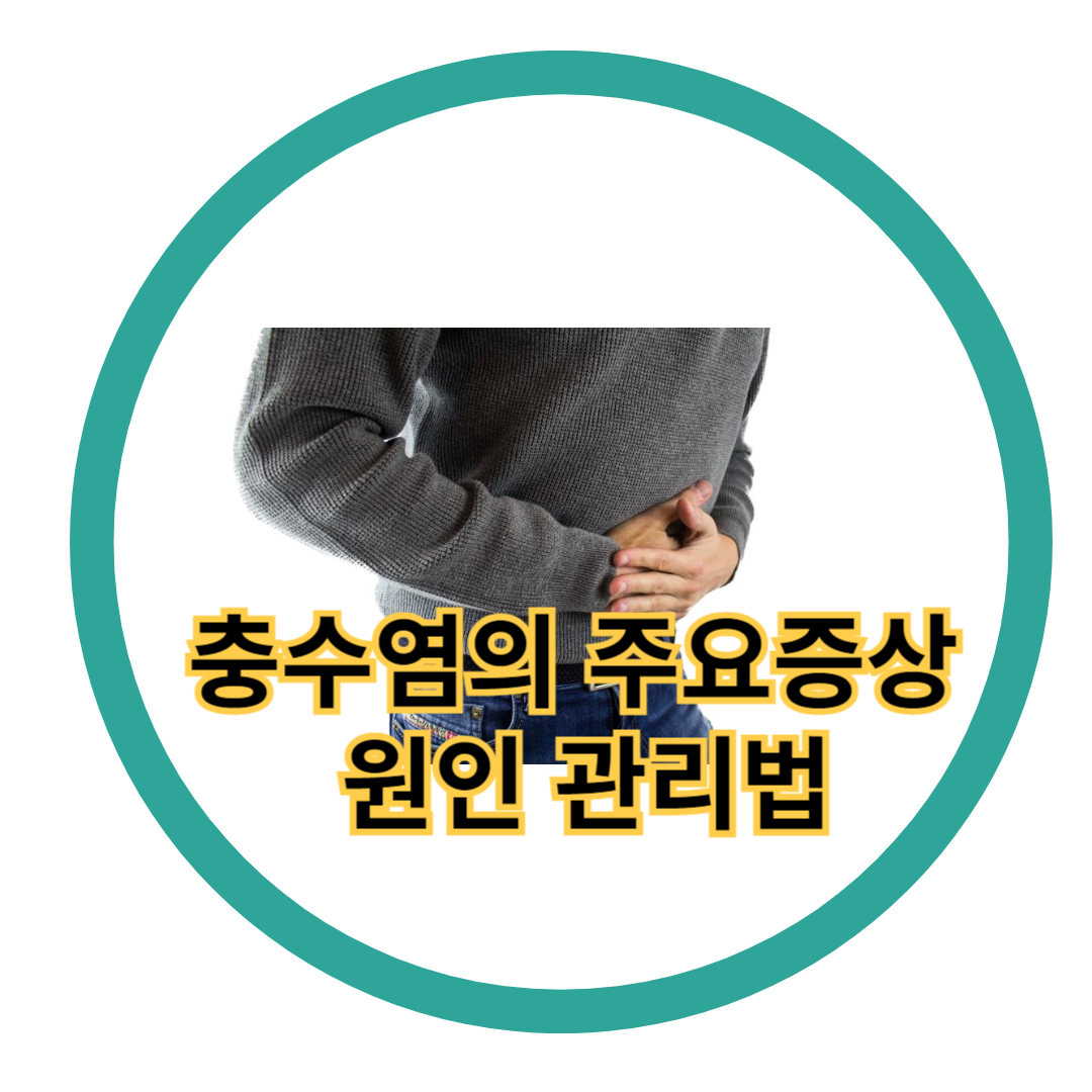 충수염의 증상 원인 관리법