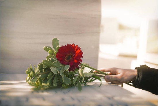 상가집에 꽃은 아무거나 하면 큰일니요. 상가집 꽃 사진