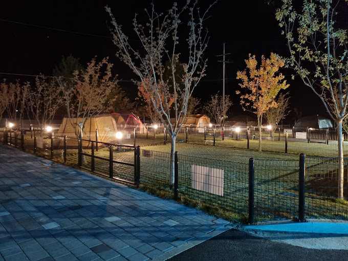 가평 반려견 캠핑장 '아워포레스트' 미리보기