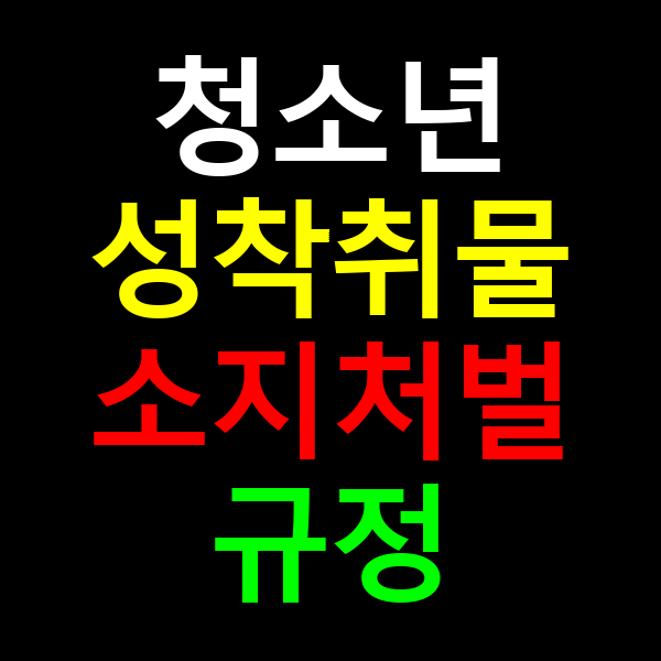 청소년 성착취물