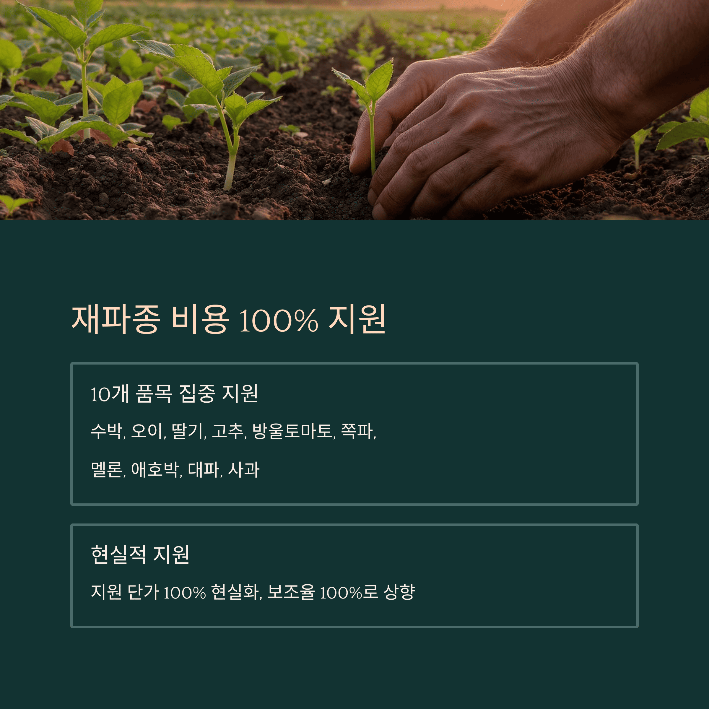 &quot;폭우 피해&quot; 농민들에게 전해진 희망의 소식! 정부 지원금