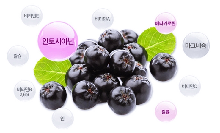 아로니아 효능