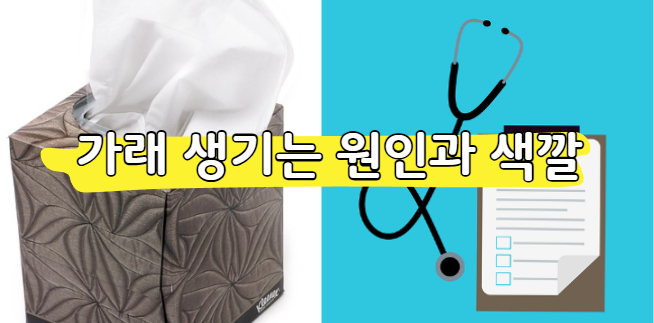 가래 생기는 원인 및 색깔별 증상 총정리