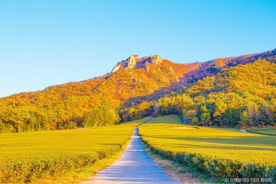 강진 가볼만한곳 베스트10