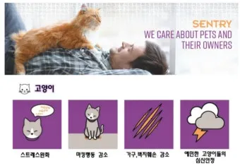 고양이 신경안정 약 영양제 음악_14