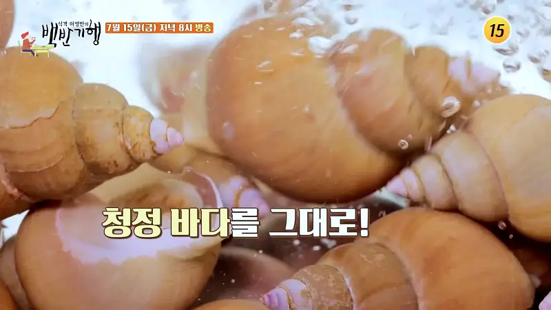 식객 허영만 백반기행 160회 김지민 편 다찌 느낌의 문어 숙회, 골뱅이무침, 두부 튀김, 해물 수제비 동해 삼척 7번국도 노포 맛집 소개