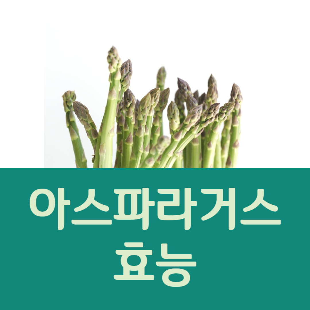 아스파라거스 효능 부작용