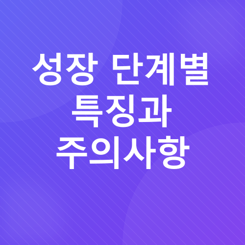 영유아 발달_2