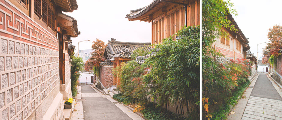 서울 도심 속 단풍 카페거리 추천! 낭만 가득한 가을 데이트 코스 4선