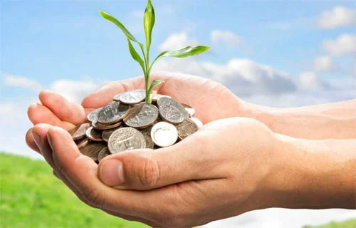 두손안에-동전이-가득하고-동전에서-새싹이-자라고-있음