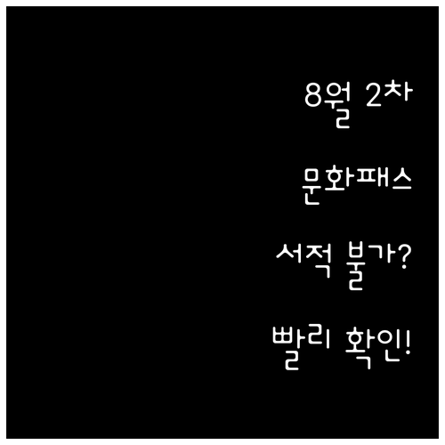 2024 청년문화예술패스 8월 2차 ..