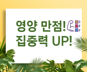 수험생 영양 관리, 💯점 맞는 식단으로! 💪