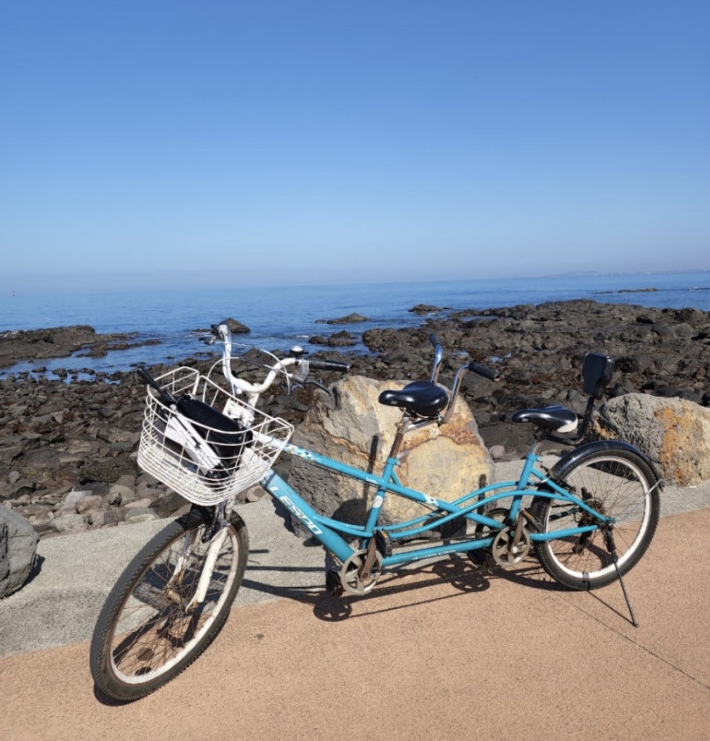 유채꽃과 청보리가 아름다운 가파도 여행