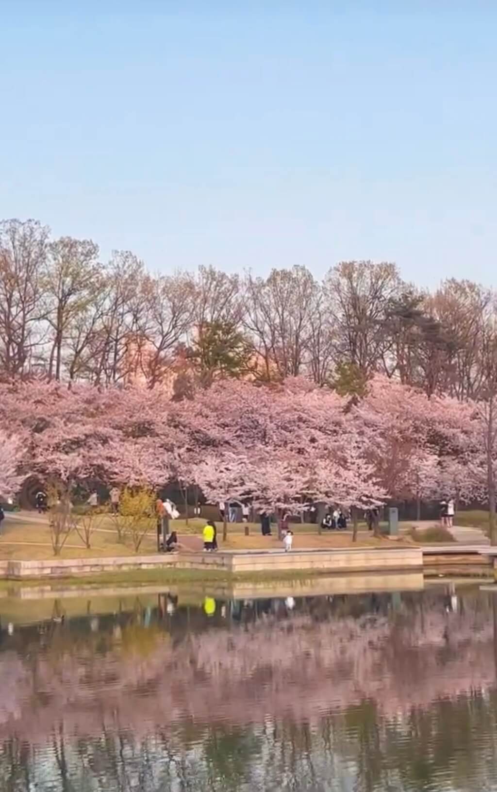 북서울꿈의숲 관련사진