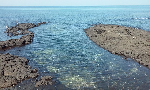 제주도 바다