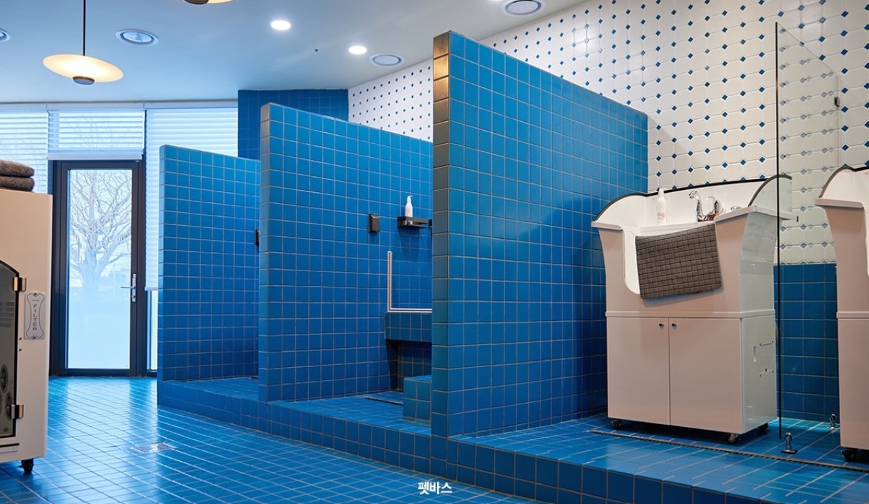 위드랜드-멤버스하우스-강릉