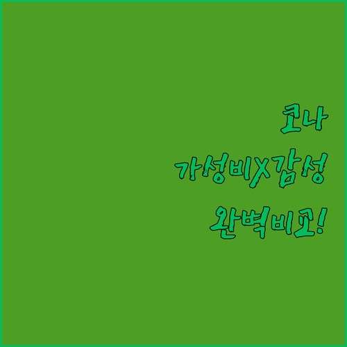 하와이 코나 여행 가성비 리조트부터 ..