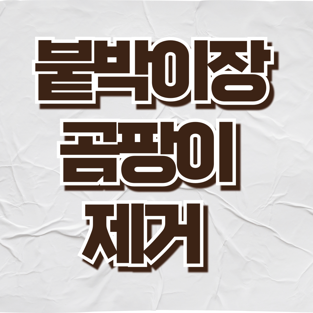 붙박이장 곰팡이 제거