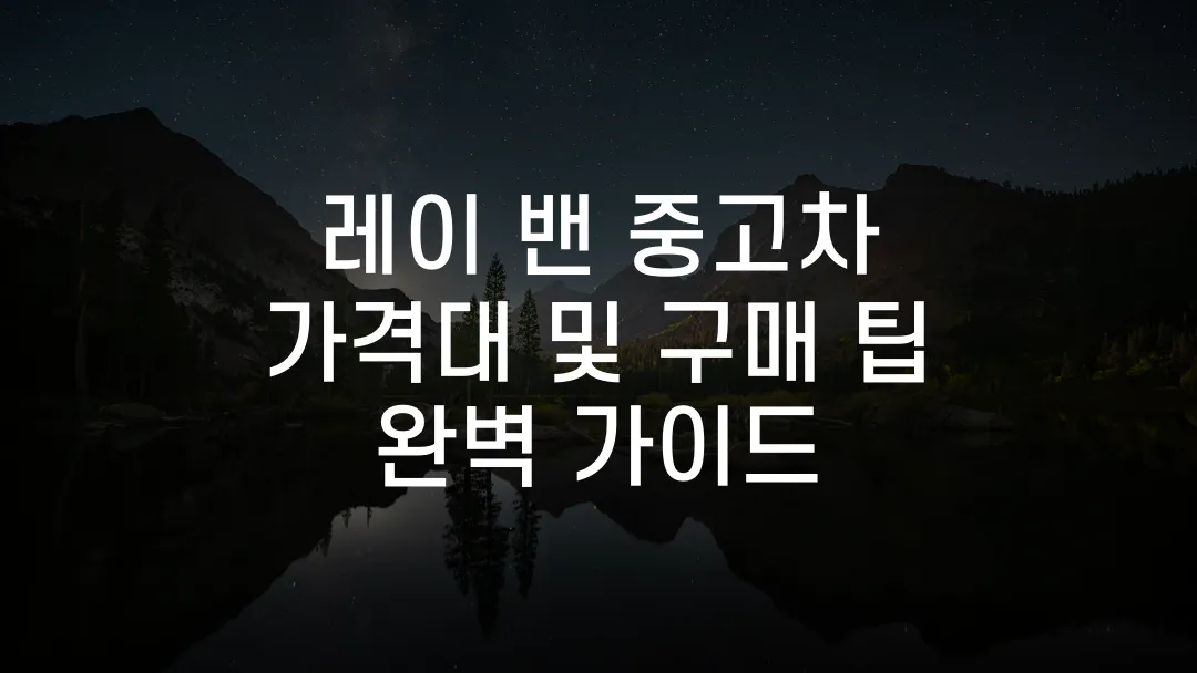 레이 밴 중고차 가격대 및 구매 팁 완벽 가이드