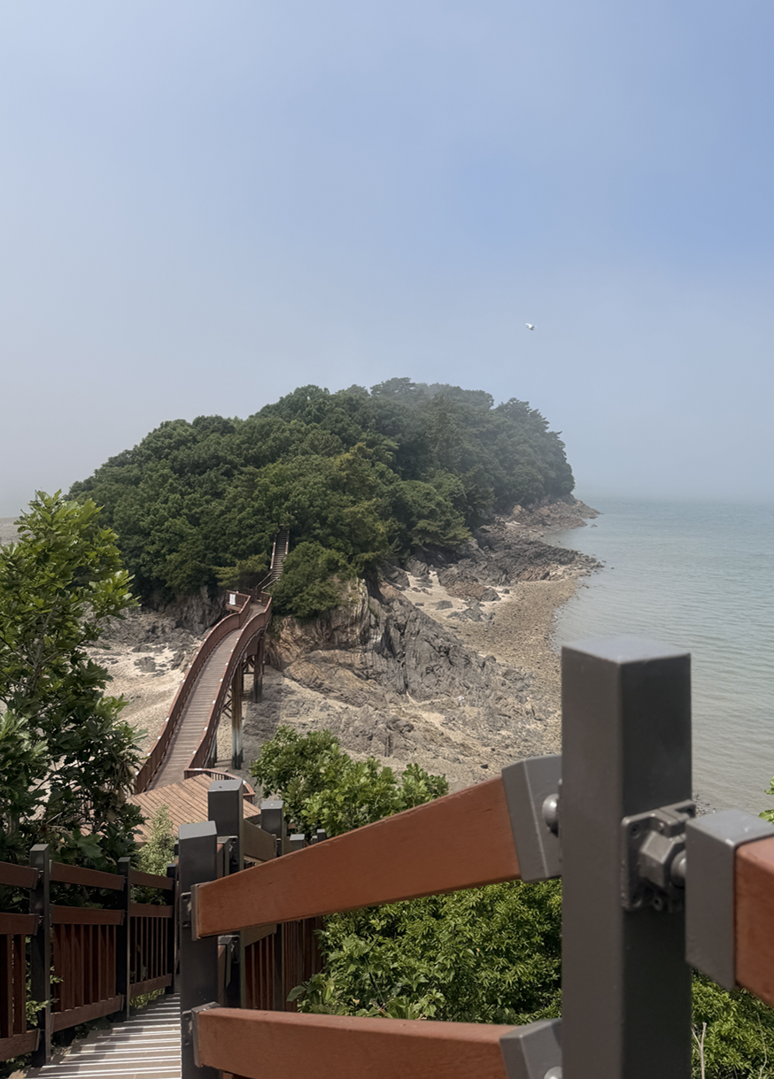 대부도 당일치기