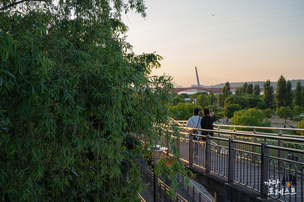 양화 한강공원 산책