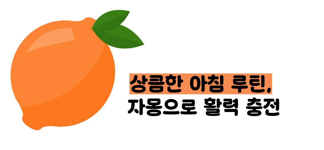 자몽 효능