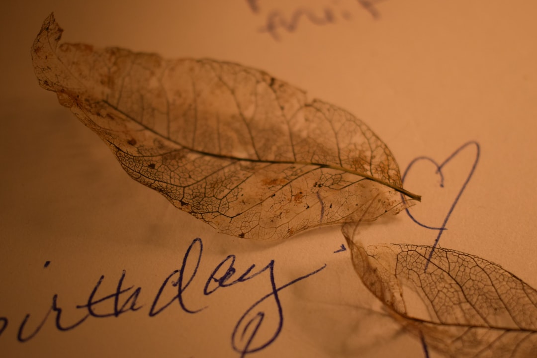 서명 — English signature.