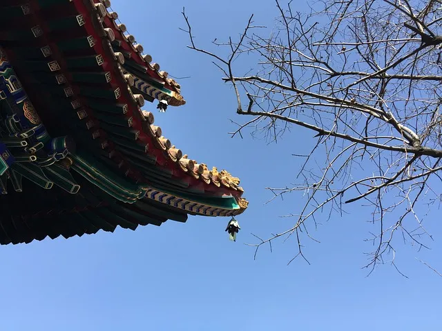 용인 민속촌 입장료 혜택 할인_6