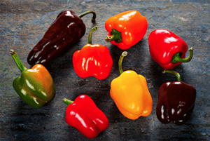 파프리카 효능06