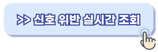 신호위반 카메라