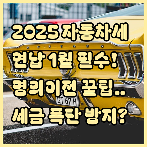 2025년 자동차세 연납 신청 기간 ..