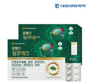 대웅생명과학 혈행엔 징코맥스 은행잎 추출물 혈행개선 기억력개선 영양제 120정&#44; 2개