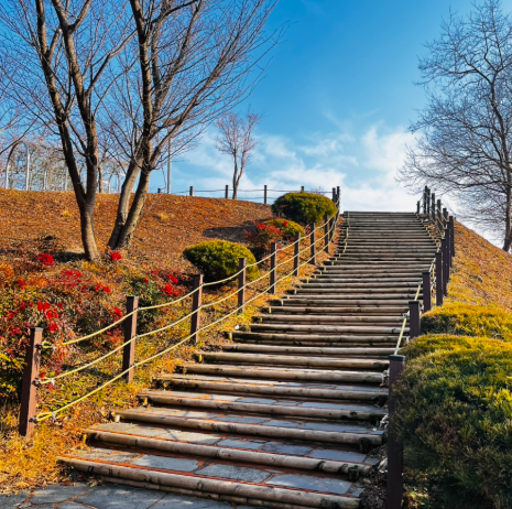 서산버드랜드