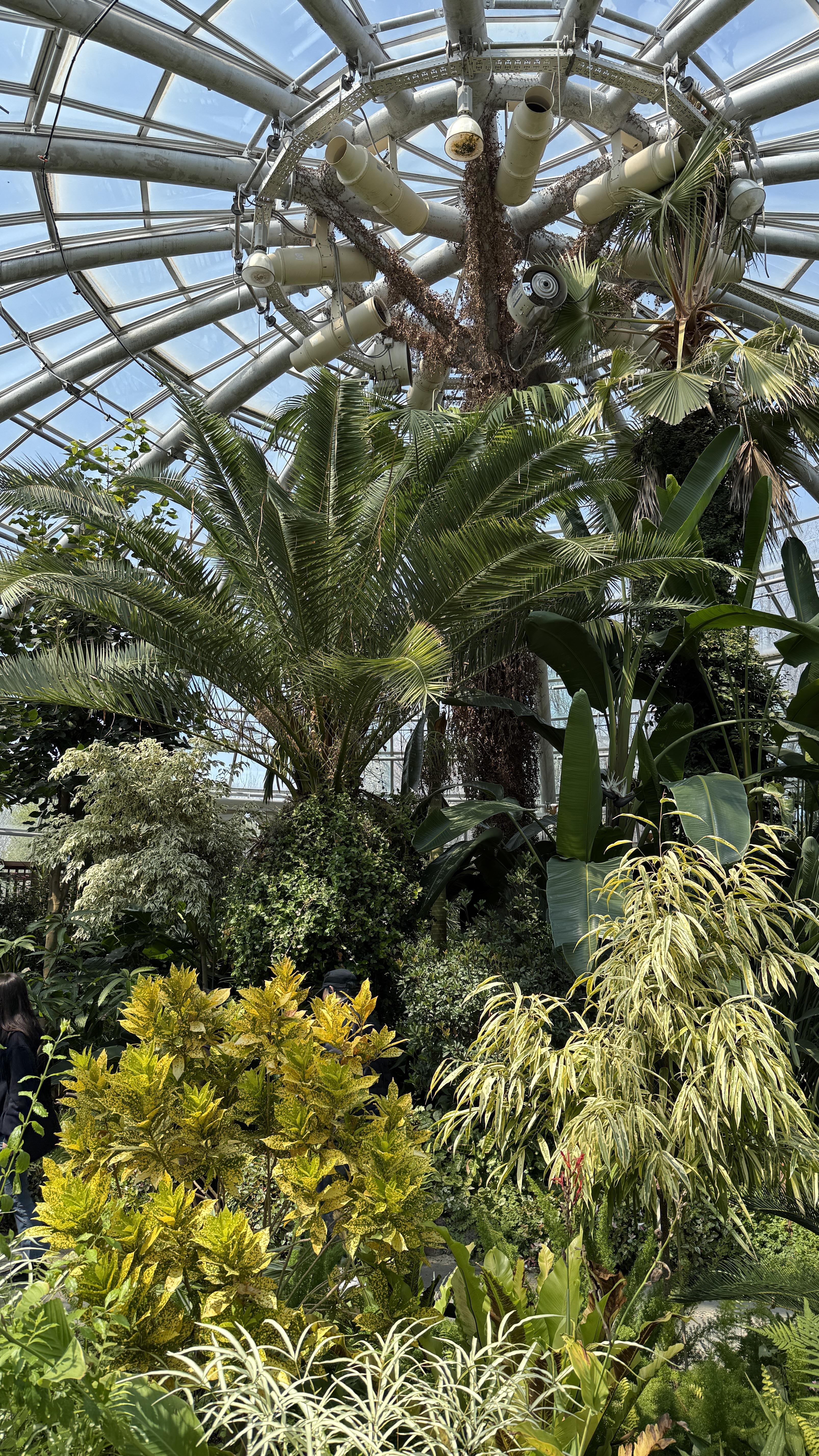 물방울온실내부