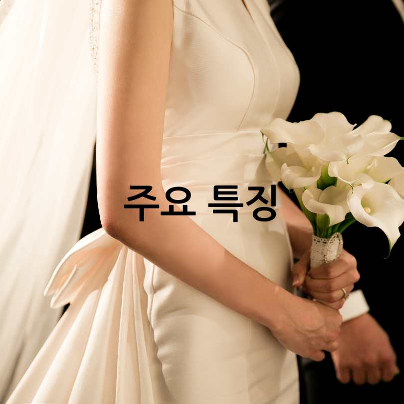 서울마이웨딩 신청방법