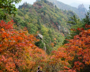 단풍 명소 설악산_1