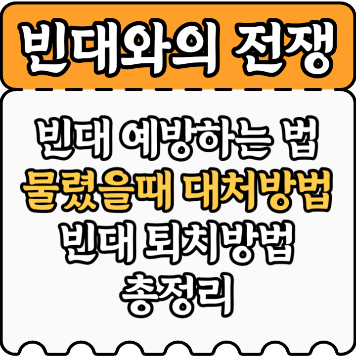 빈대 예방 물렸을때 대처 퇴치법까지 안내