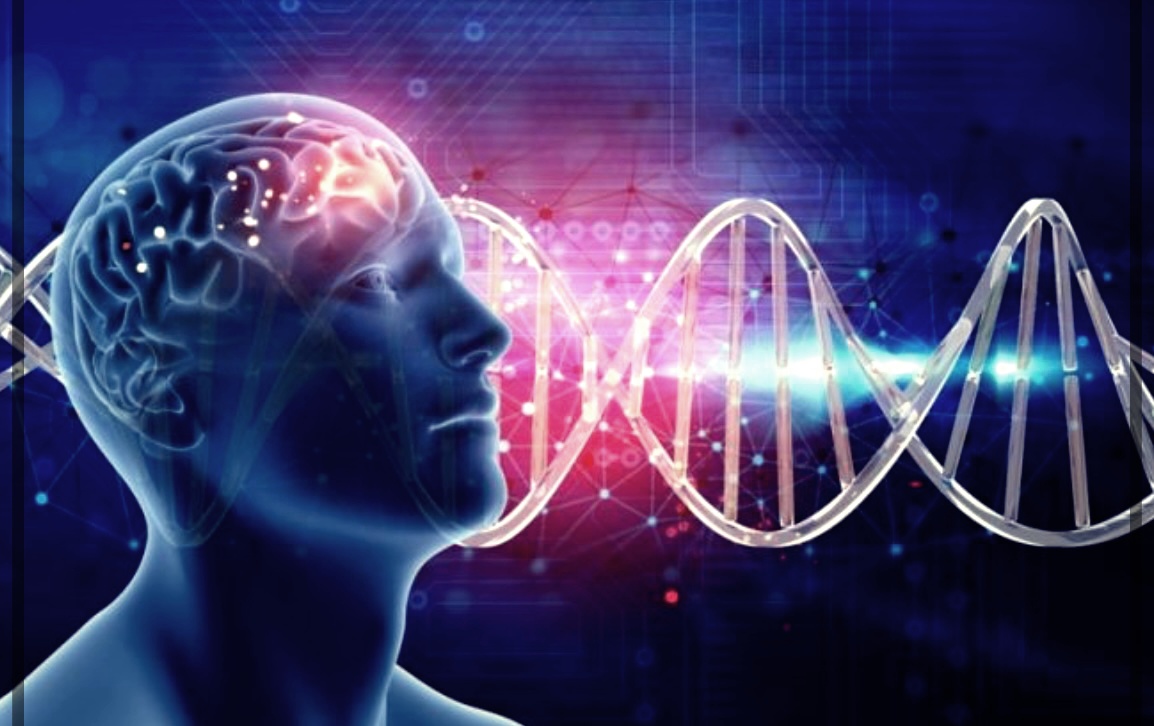 뇌 해면상 혈관종의 원인&#44; 발생 이유 및 치료 방법에 대한 총정리.