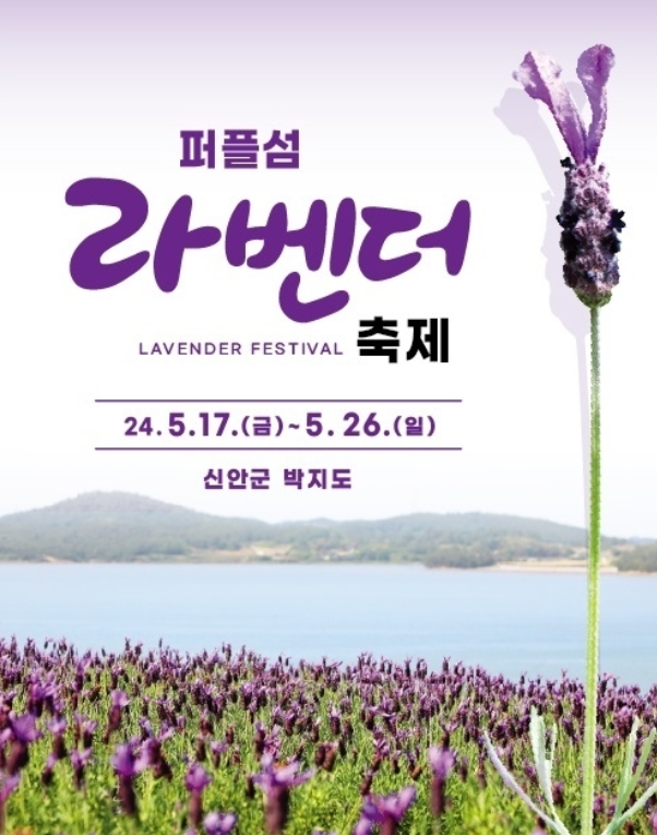 신안 라벤더축제 5월 6월 꽃축제 퍼플섬 정보(+주차, 반려견)