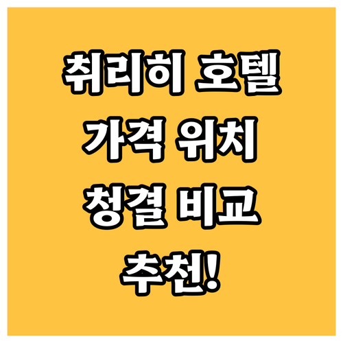 취리히 호텔 완벽 분석! 위치, 가격