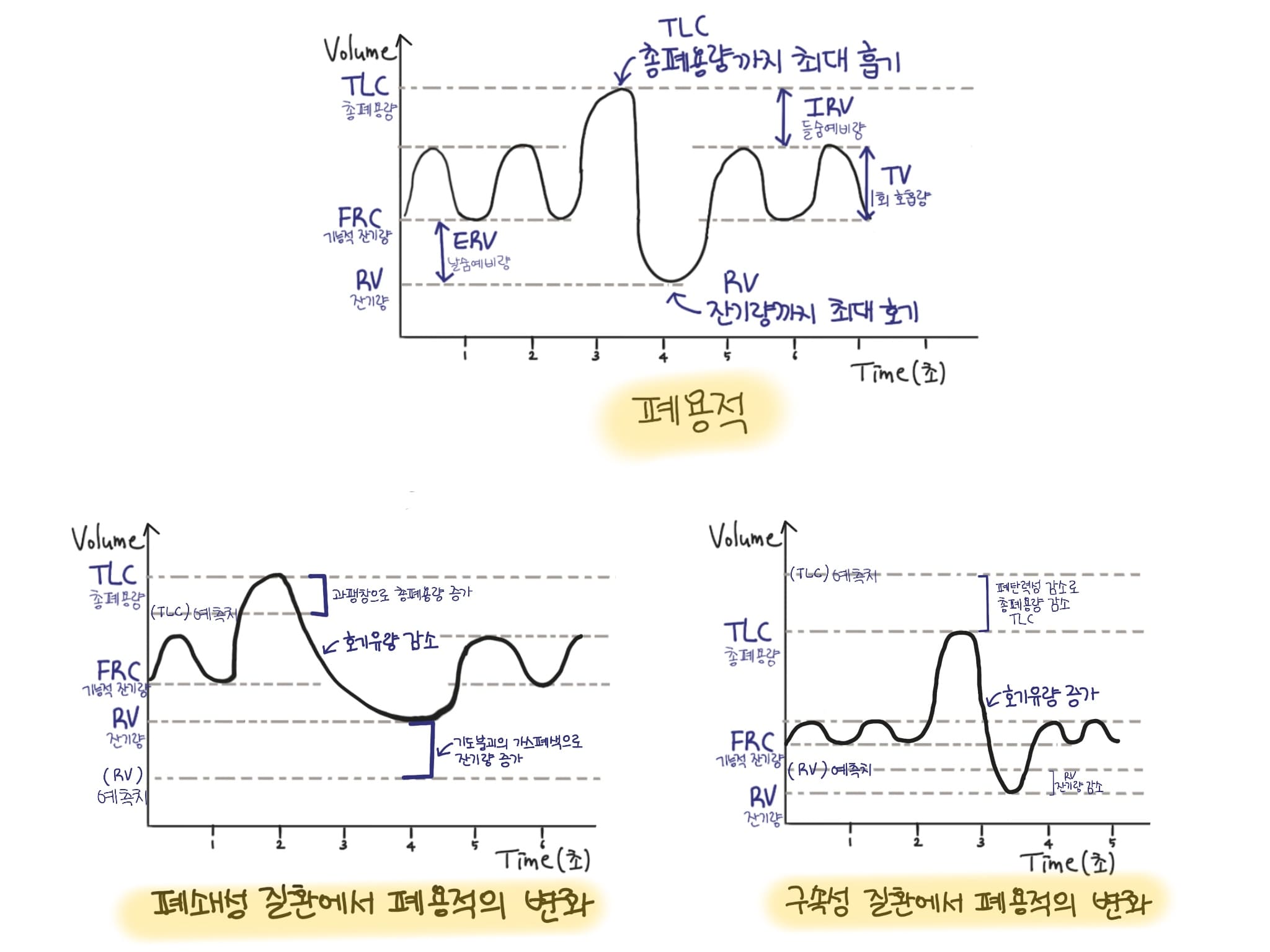 폐 용적의 변화