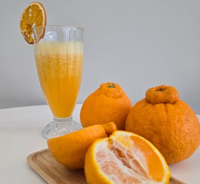 2025년 휴애리 봄 수국축제 완벽 가이드 : 오색빛깔 아름다운 수국 축제!!