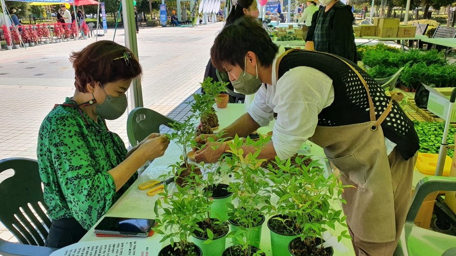2024 전라남도 정원 페스티벌 기본일정과 프로그램 소개 양지은 딘딘 브브걸 슬리피 키디비 황가람 노디시카 하나영 김영남 출연