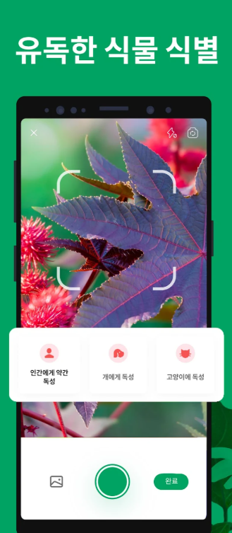 사진으로 꽃이름 찾기