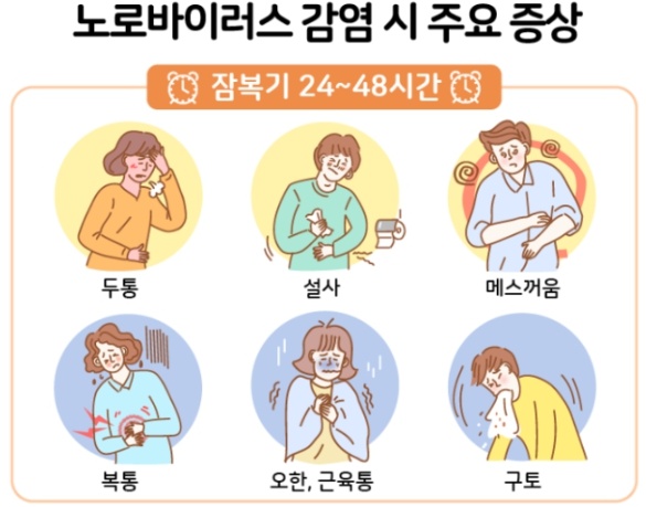 노로바이러스 감염 주요 증상
