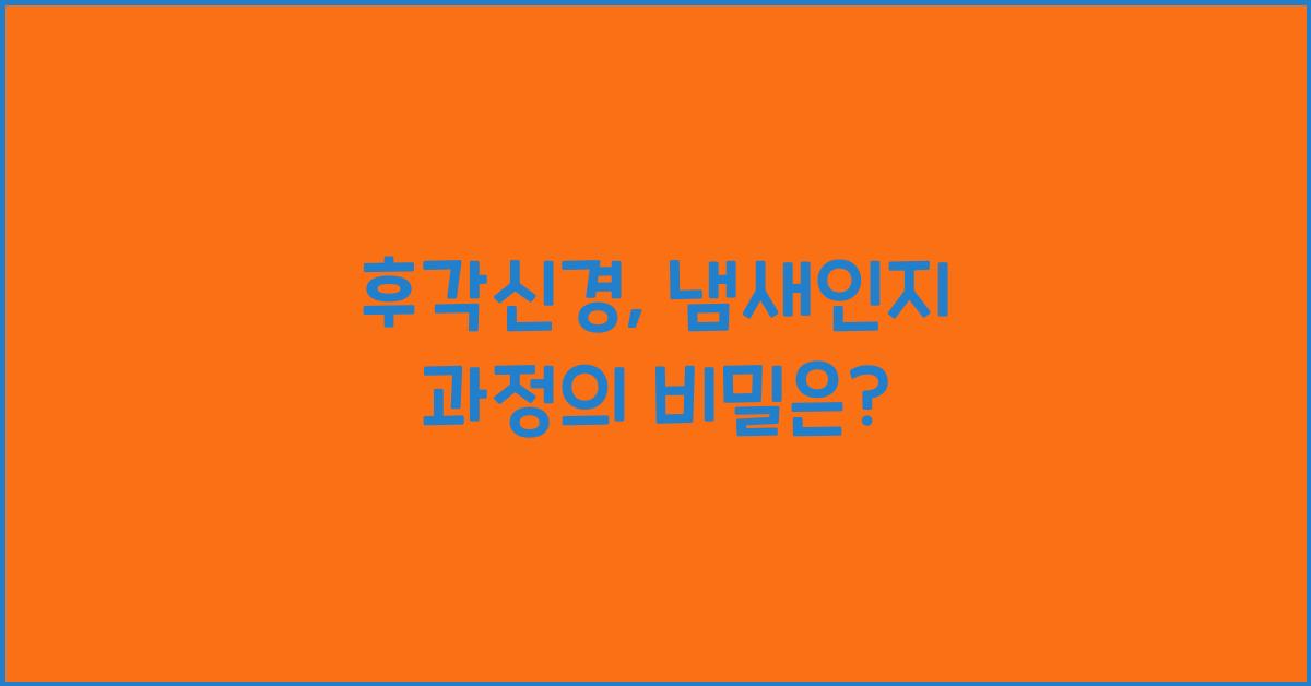 후각신경, 냄새인지 과정