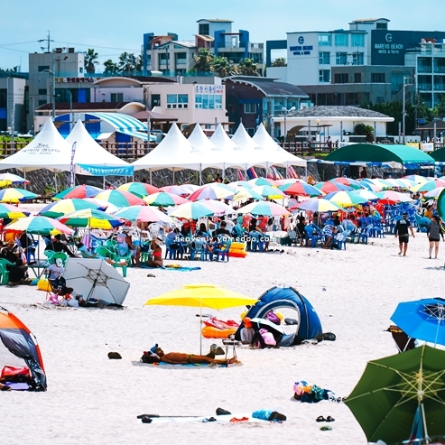 8월 제주도 여행코스 2박3일