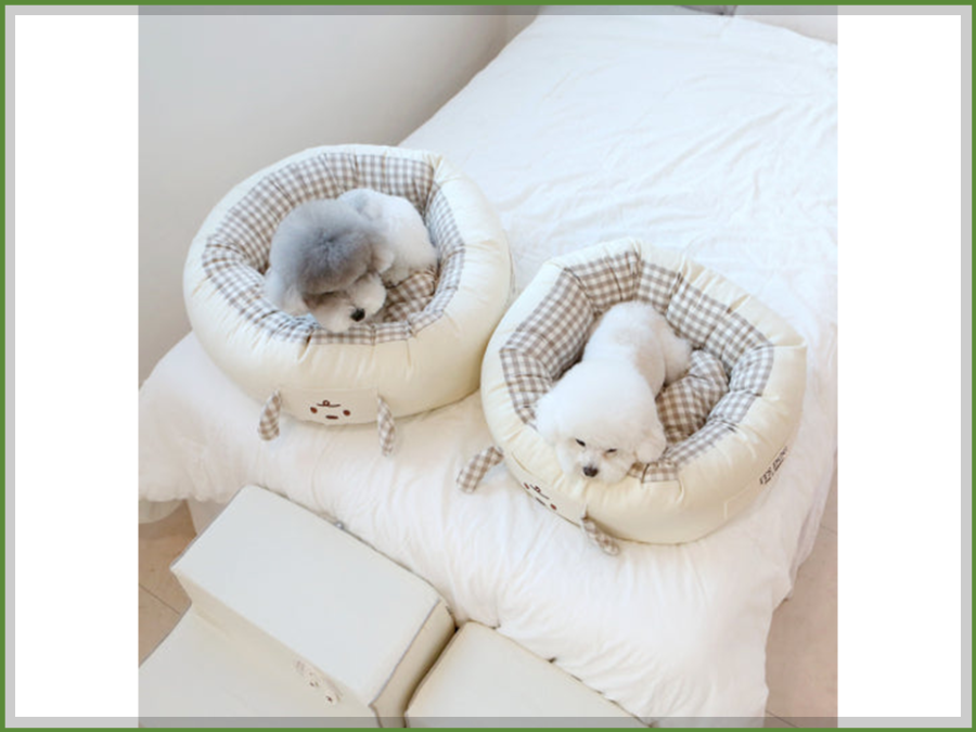 강아지 입양 첫날 준비물 리스트